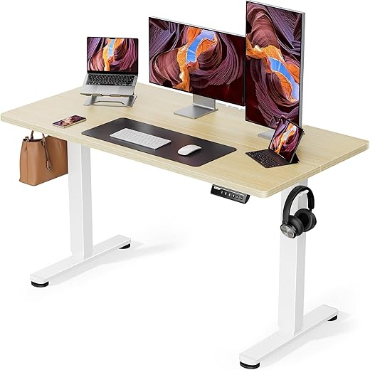 ErGear 48×24 Electric Sit-Stand Desk with Memory