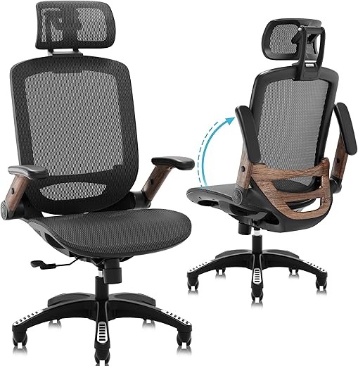 GABRYLLY Advanced Ergonomic Office Chair