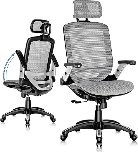 GABRYLLY Ergonomic Office Chair with Headrest, Grey