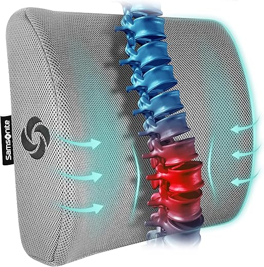 Samsonite Memory Foam Lumbar Support – Office & Car, Gray