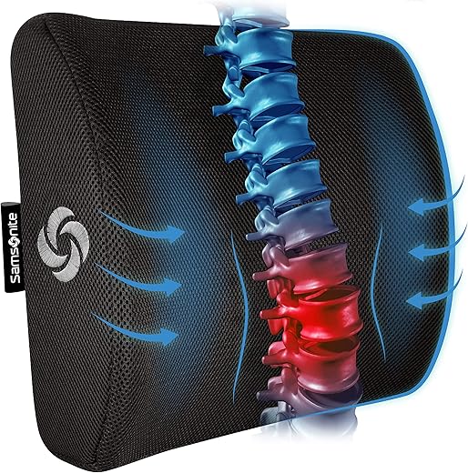 Samsonite Memory Foam Lumbar Pillow for Office & Car