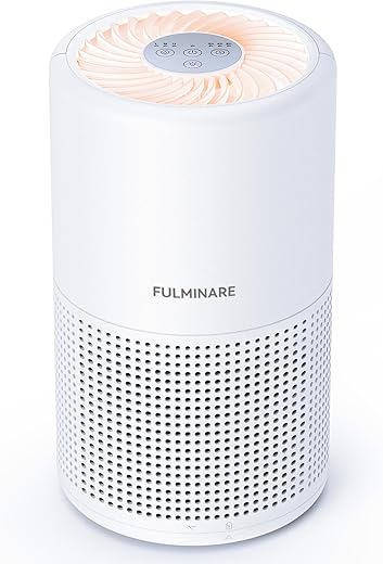 FULMINARE H13 True HEPA Portable Quiet Bedroom Air Purifier
