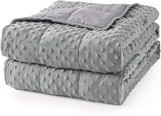 Mr. Sandman 15lb Queen Minky Dots Weighted Blanket – Gray