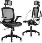 The 5 Best Ergonomic Office Chairs for Back Pain in 2025